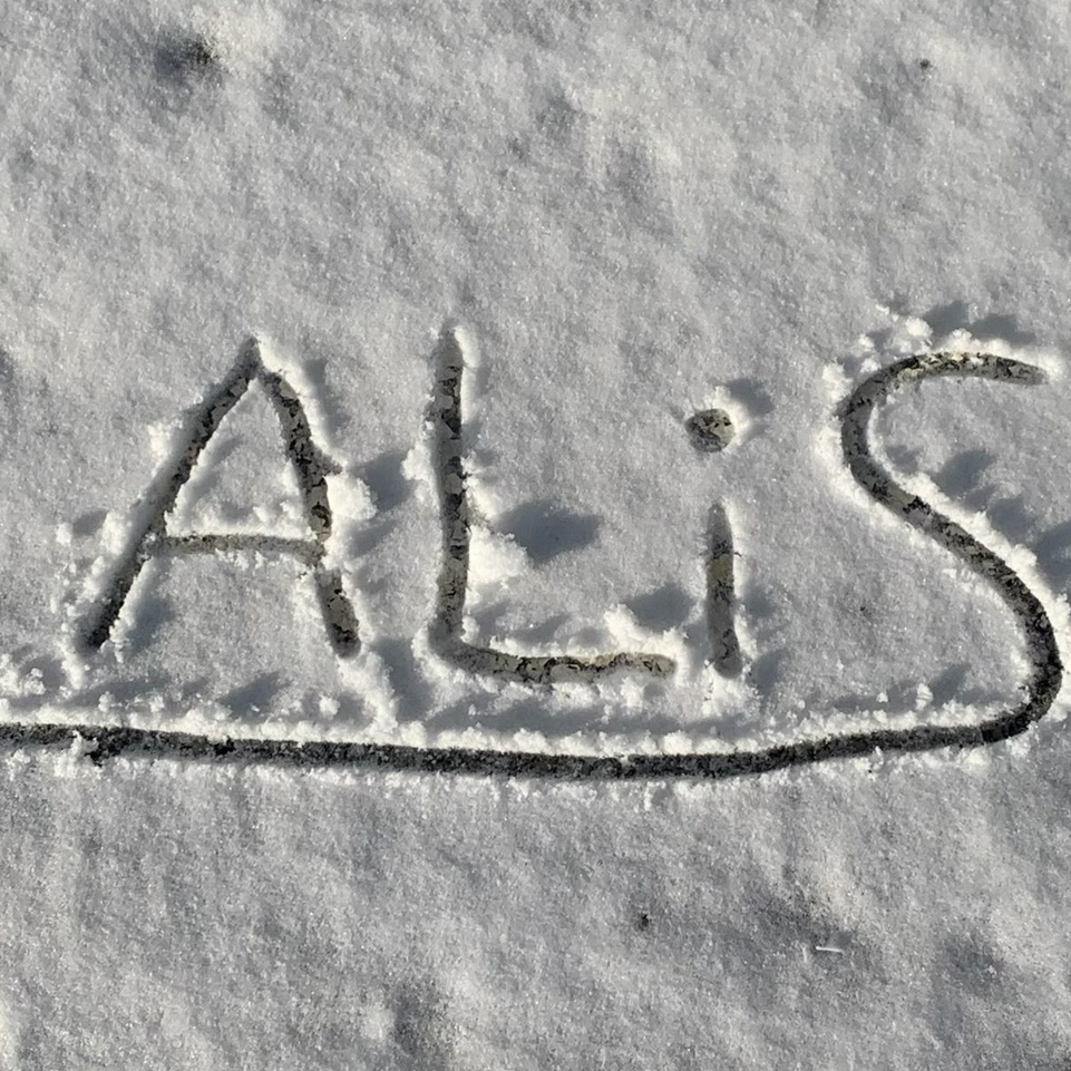 Premiers flocons, les équipes ALiS en action
